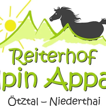 In With Swimming Pool Semesterbostad *