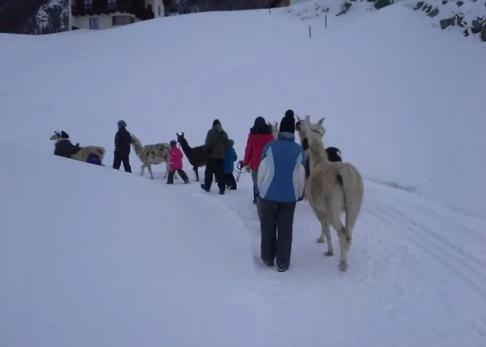 بيت للعطل In With Swimming Pool امهاوسن