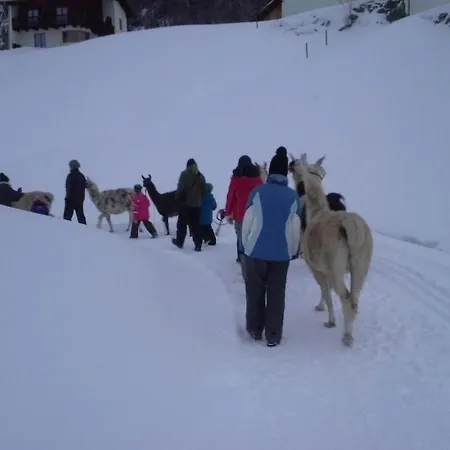 度假居 In With Swimming Pool 厄姆豪森