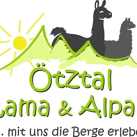 In With Swimming Pool *